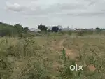 LAND FOR RENT TIRUPPUR