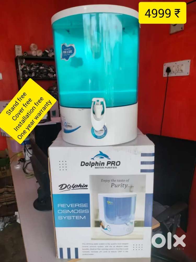 New Dolphin New Offer offer New