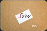 Real income platform for freshers