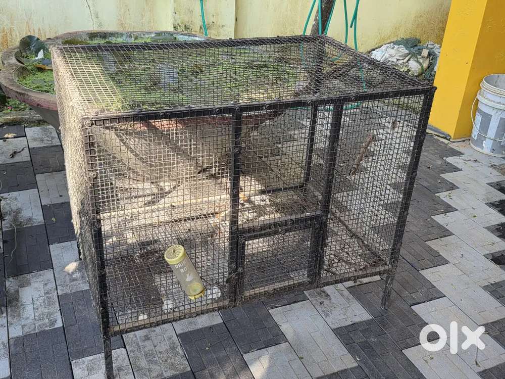 Cage for sale