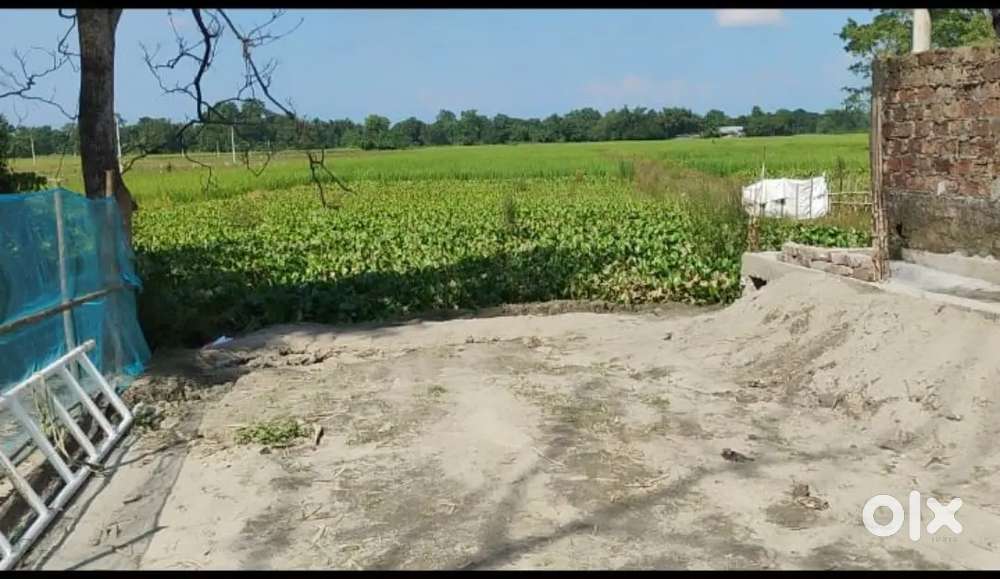 Land for Sale Near Ganesh Mandir chowk,Nalbari