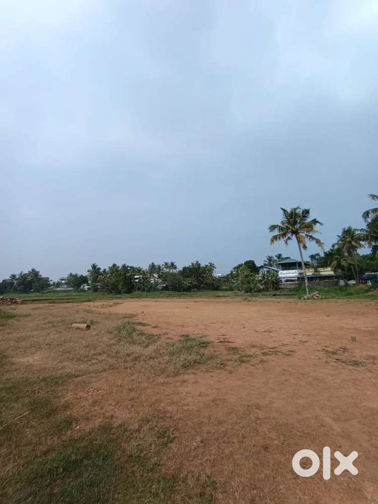 Residential Plots for sale near kalamassery/aluva