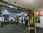 Gym equipment for all sale