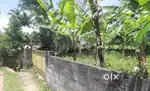 Residential plot for sale -5 cent Peyyad , Trivandrum