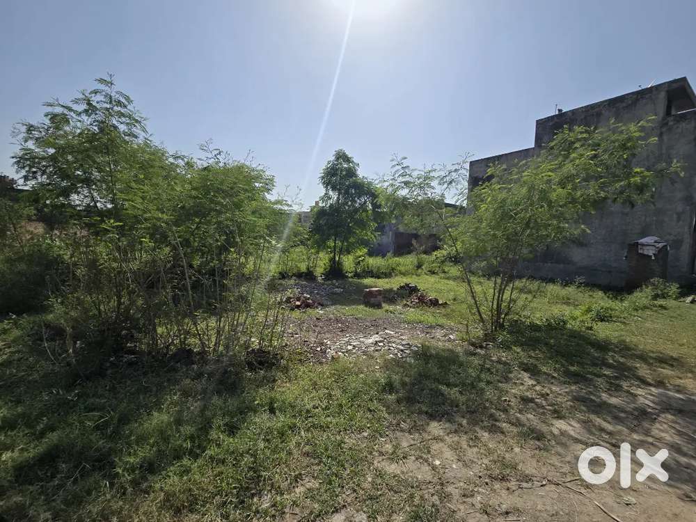 6300 sq ft plot rent will construct 4 walls according to desire