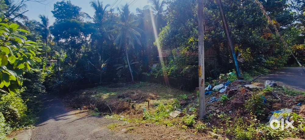 1.5 km from Thazhe chovva national highway , 2 Side road available