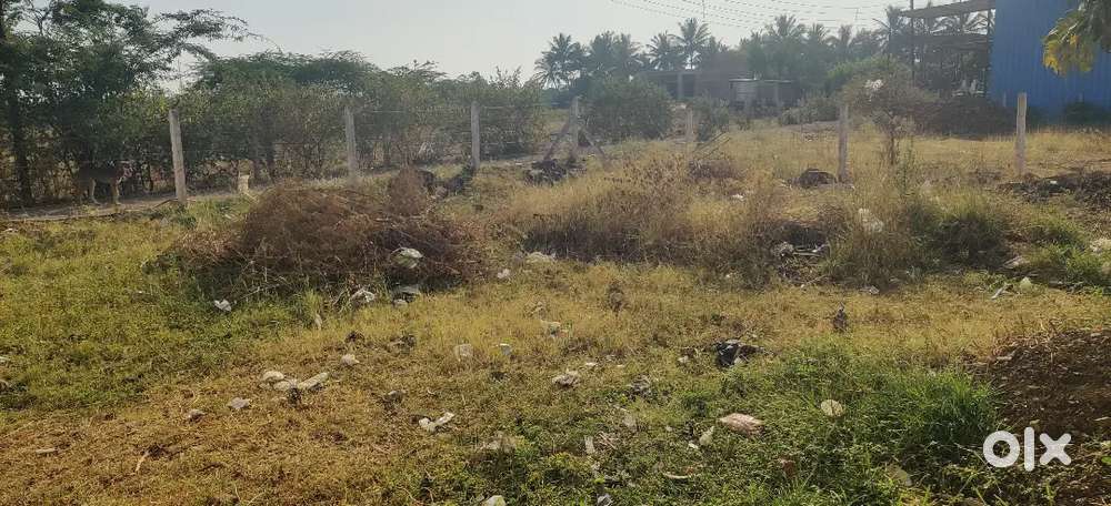 2014sqft plot for sale in tasgaon 11lac/gunta