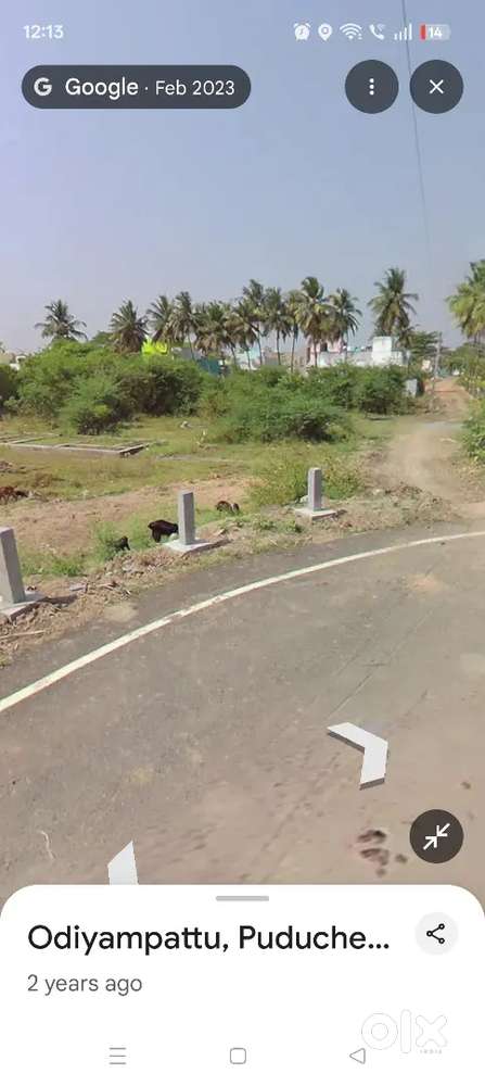 Just 300mtr distance I'm sell my plot urgent
