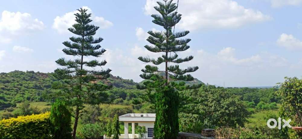 ANANATA FARM HOUSE SAKRODA (GIRVA)