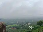 प्राईम लोकेशन का प्लॉट है मेडिकल कॉलेज से 300 मीटर पर स्थित है