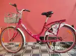 Bicycle for school going girl