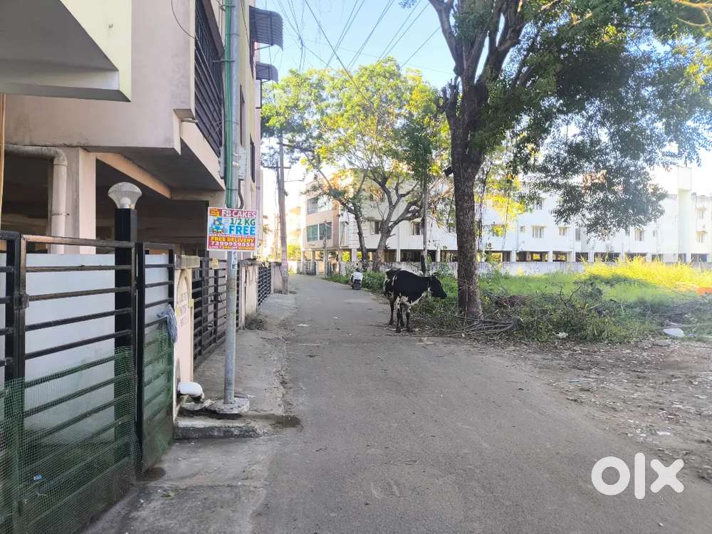 Empty Land Rent Nanmangalam (chrompet salai)