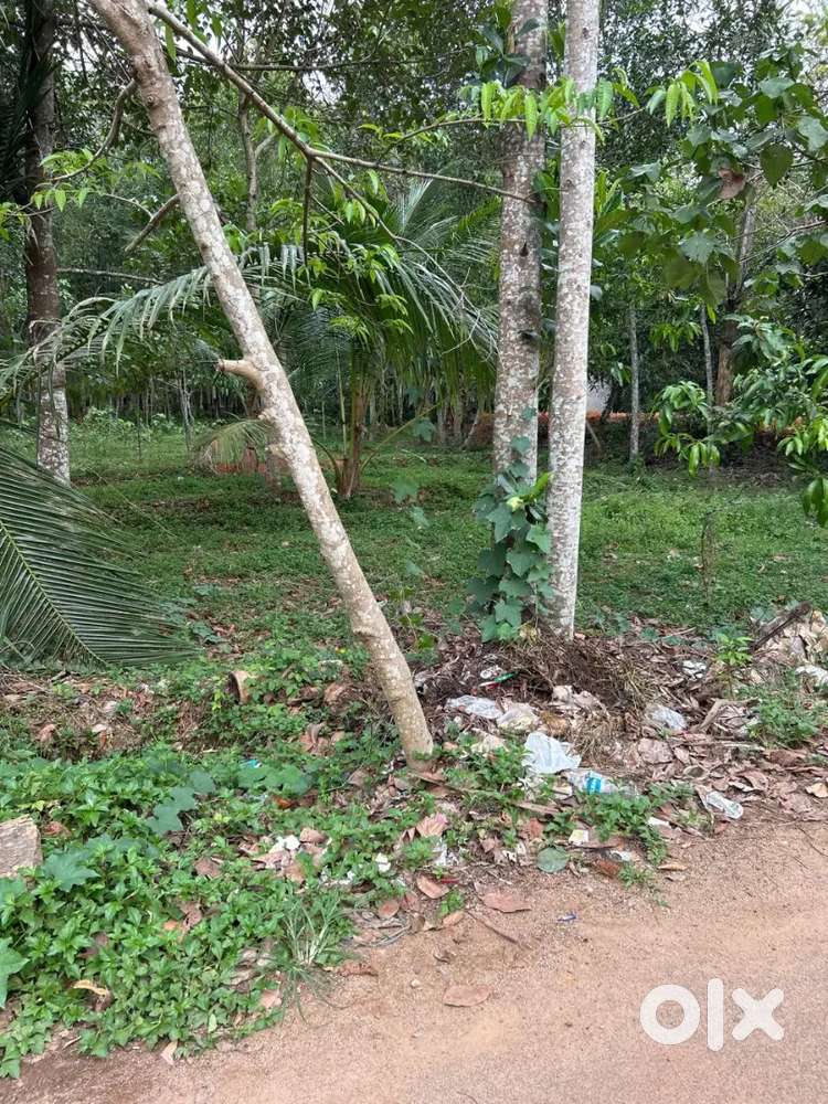 Land for sale 135000