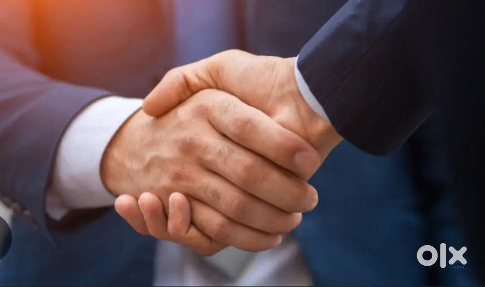 Collection executive
