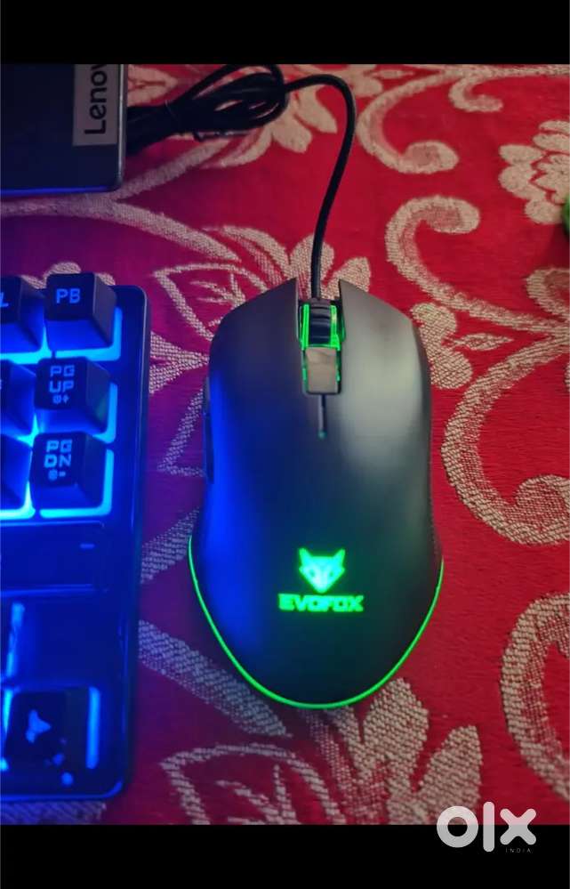 Evo Fox keyboard and mouse