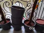 Fiber Pots for Plants - each priced at Rs.1000/-