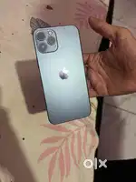 12 pro max