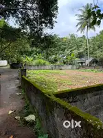 10cent plot for sale at Sreekariyam chellamangalam 6.80per cent