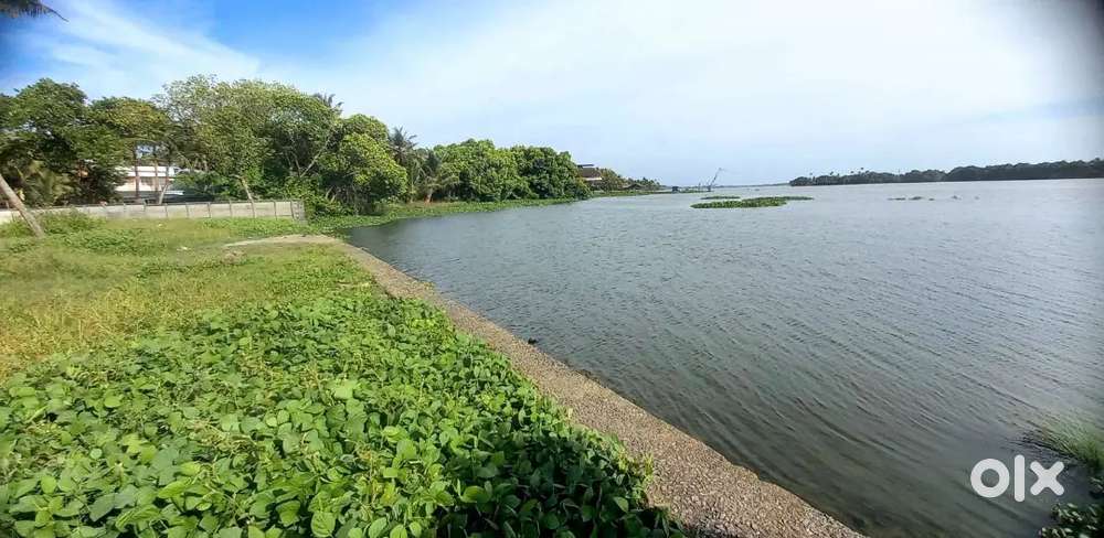 44 cent waterfront plot sale near Palluruthy