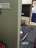Single bachelor allowed