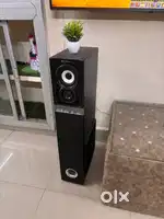 Zebronic tower speaker