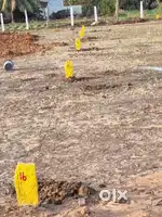 Investment property for kids