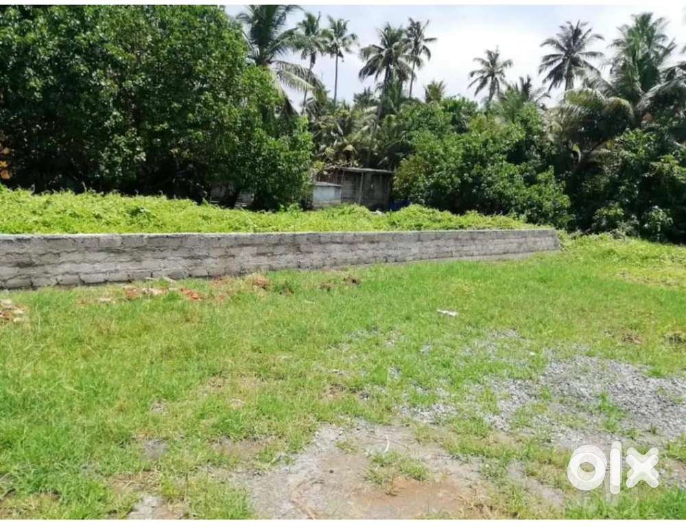 7 cent plot for Rent or Lease