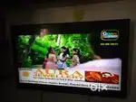 LG 43  tv for sale