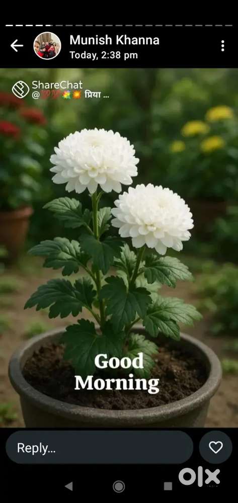 A very good condition running school from 20 years.