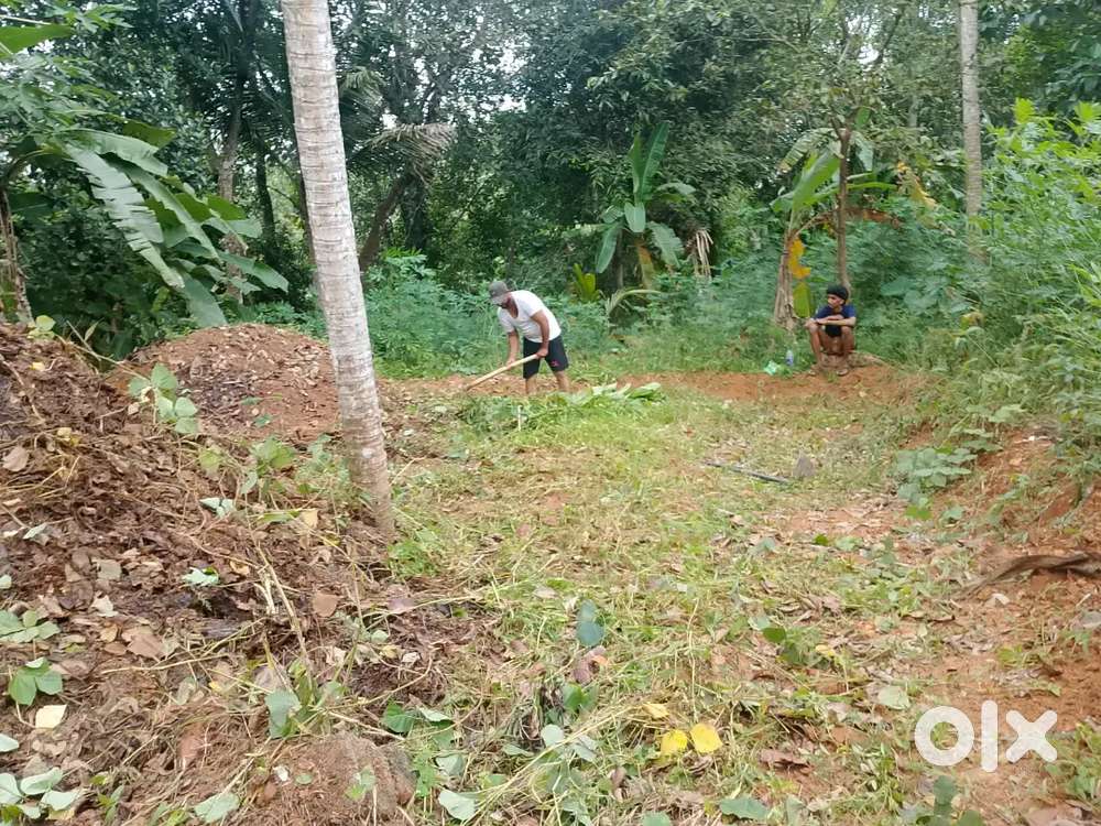 Very urgent 3 cent plot sale iratakalinfu amma gardens malayinkeezhu