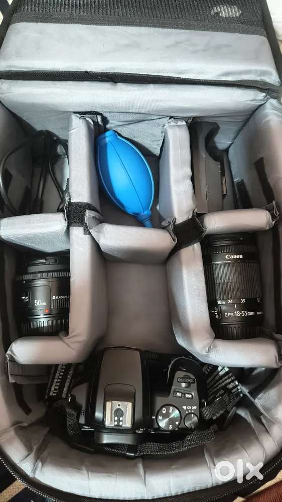 Canon 250 D with kit lens and 50 mm lens