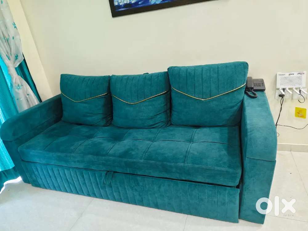 Sofa Cum Bed + MasterBed - Unused