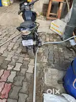 Patiyala sanori adda