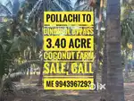 Coconut farm