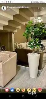 Looking for female receptionist