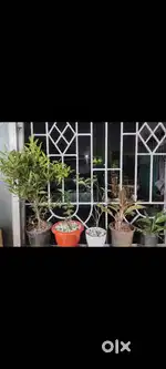 Baramunda , Bhubaneswar