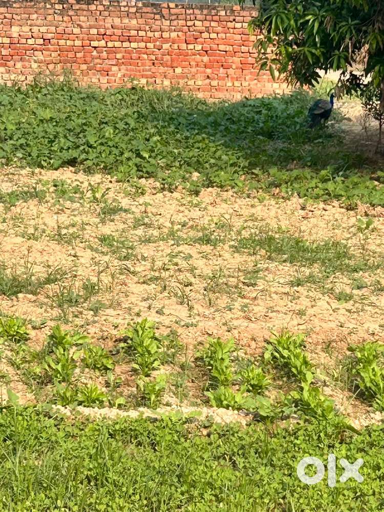 2 kanal land near jhanjeri Mohali