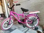 Pink cycle