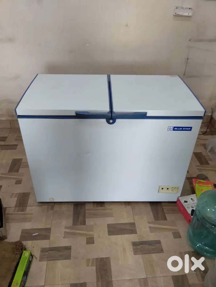 Blue Star Defreezer 300litre