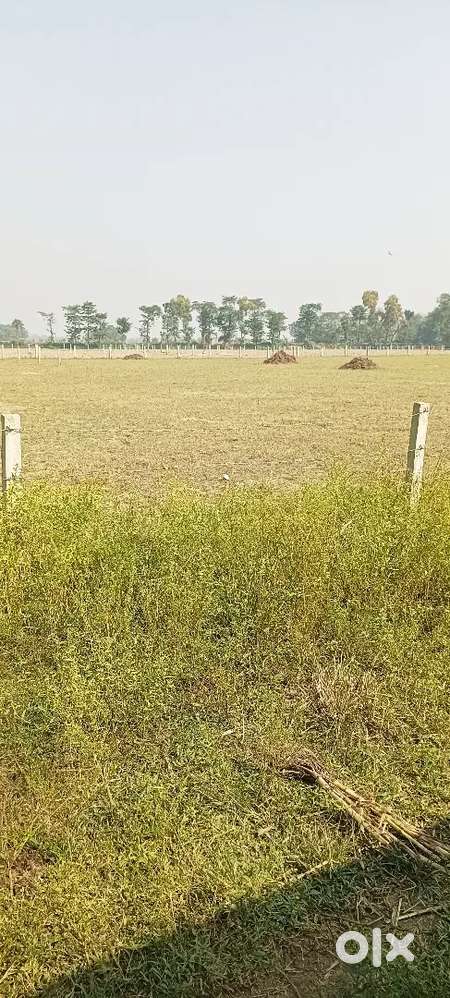6 लाख में जमीन पूर्णिया(urgent hai) इसलिए सस्ती दाम में बेच रहे है