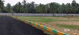1000sqrfts dtcp sea view plot for sale in Pondicherry check post near