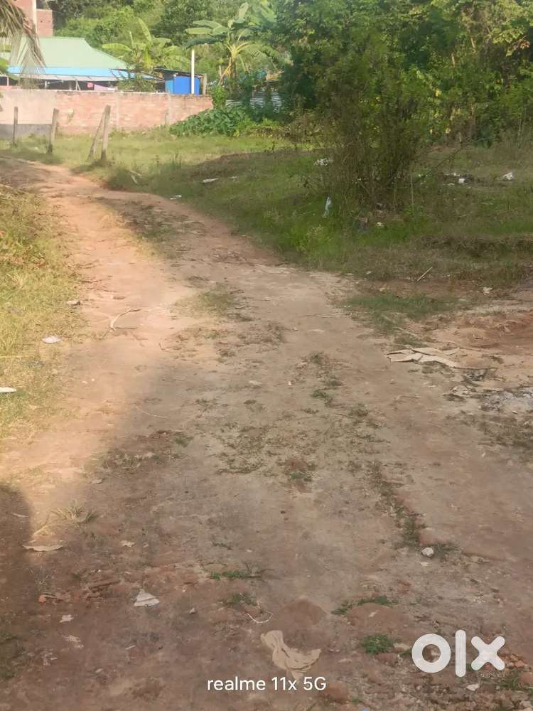 1728 sqr . Feet (29.4' X 59')/ 2  gonda Bastu plot  Sale.