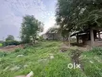 80x80 Plot selleng