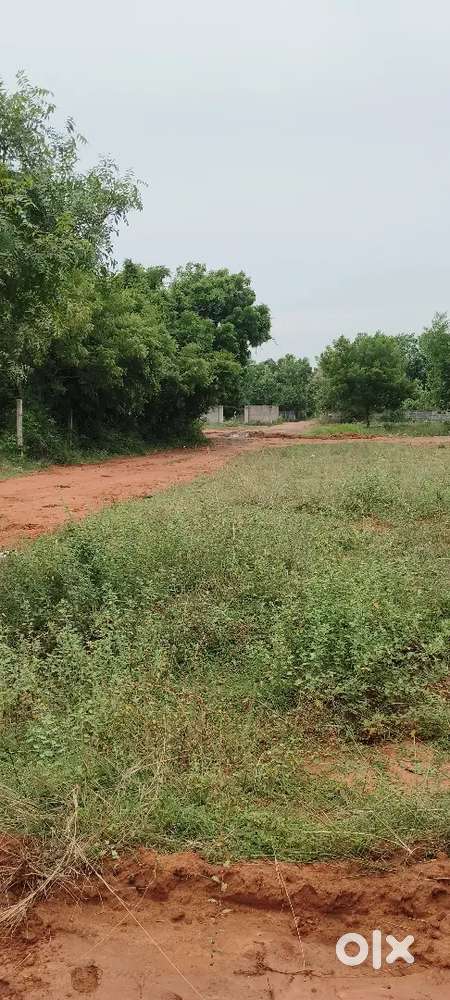 1800 Sq Ft Plot for sale in Mortandi