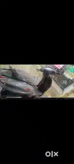 Very less use single hand scooter