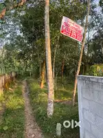 10 cent plot,