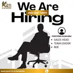Sales executives,Hr,Team Leaders