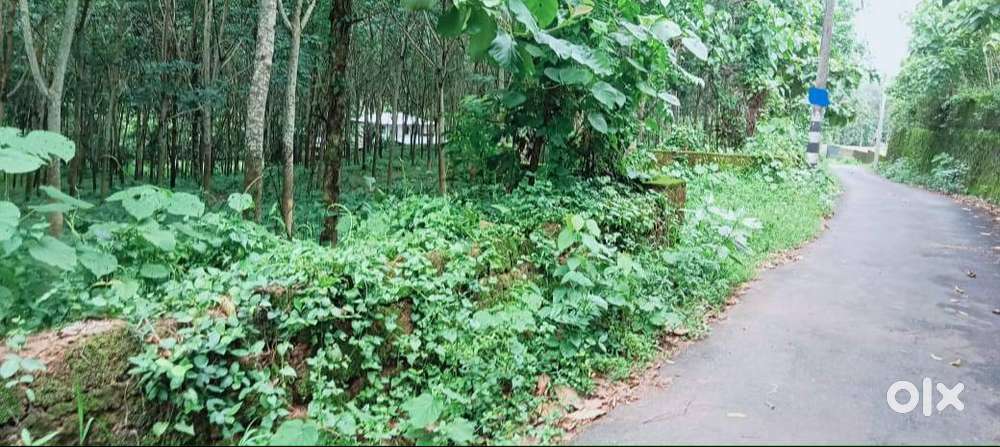 1.25Acres of Land in Pallikkara.