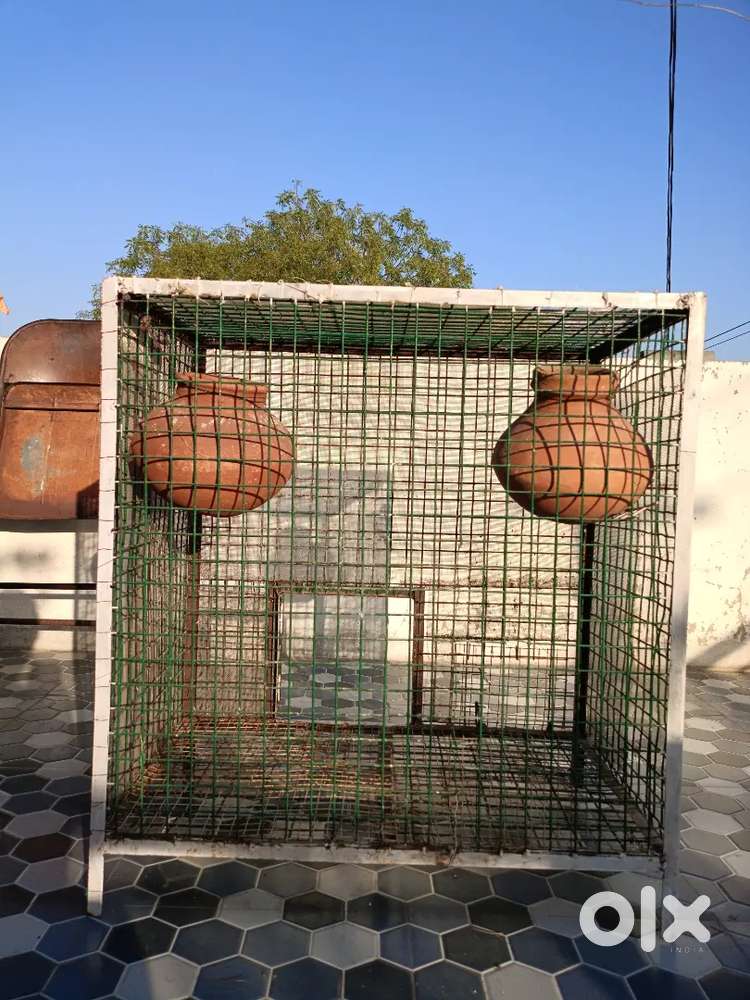 Bird/cat/puppy Big cage