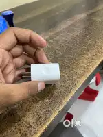 Apple original adpater